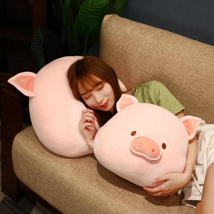 Cute Bobo Pig